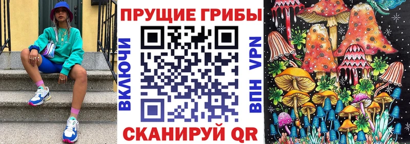 Псилоцибиновые грибы мицелий  Грязи 